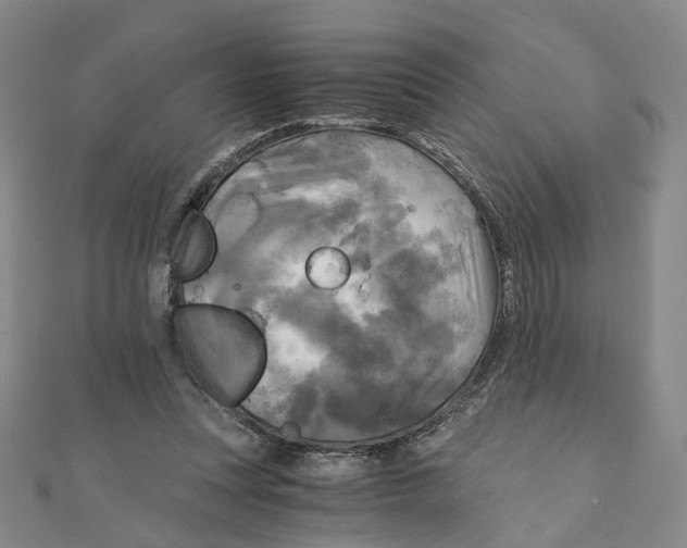 X0000110320351200906111457