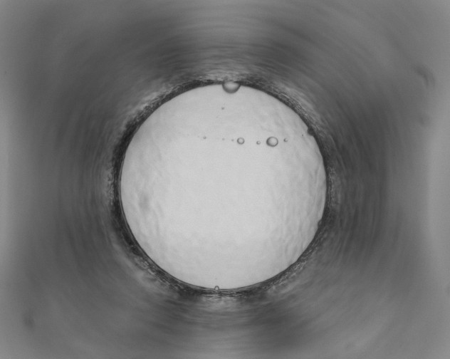 X0000110320354200906111457