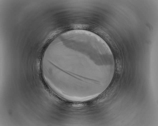 X0000110320357200906111457