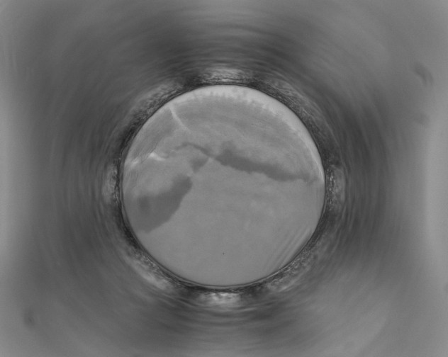 X0000110320361200906111457