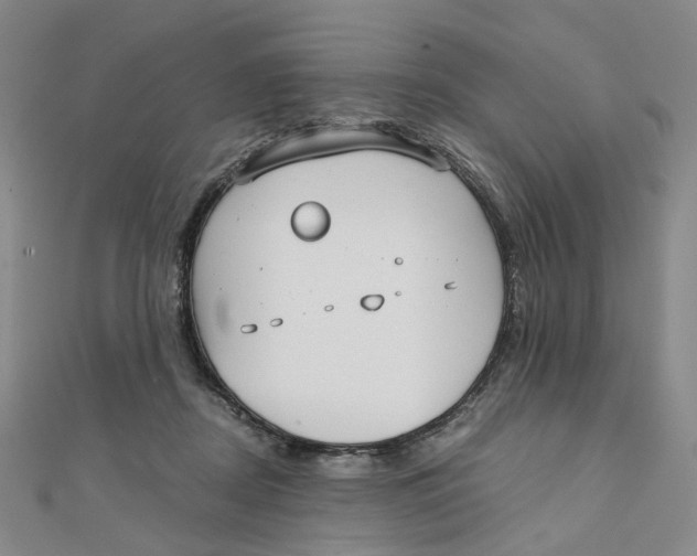 X0000110320362200906111457