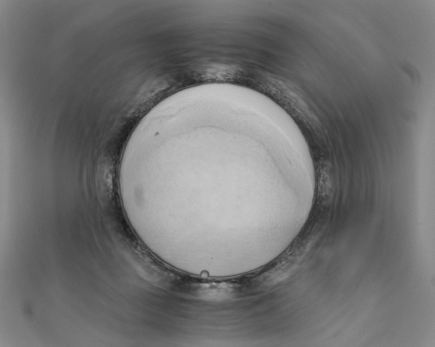 X0000110320363200906111457