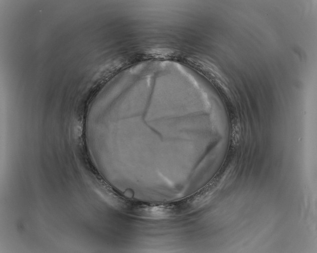 X0000110320365200906111457