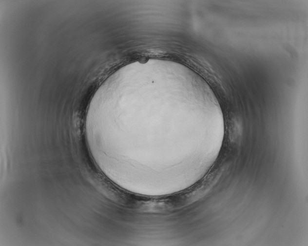 X0000110320366200906111457