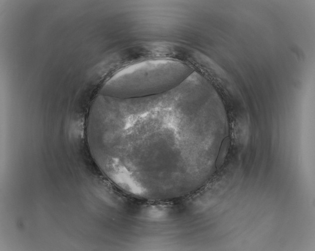 X0000110320368200906111457