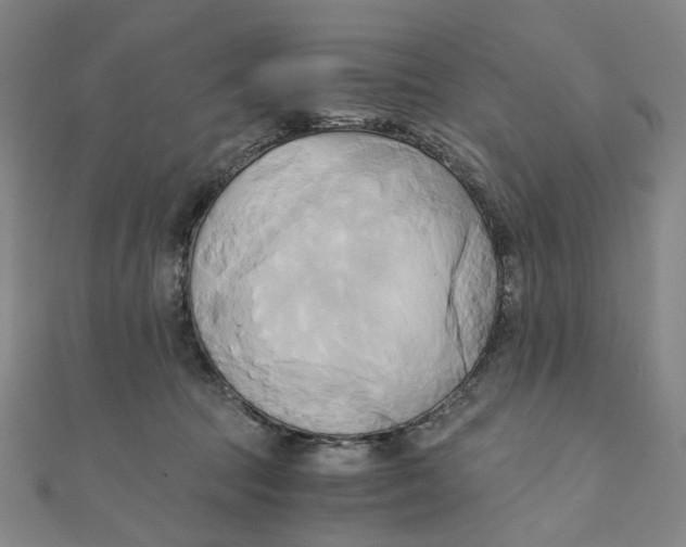 X0000110320369200906111457