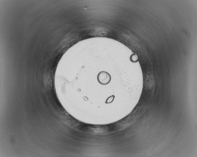 X0000110320370200906111457