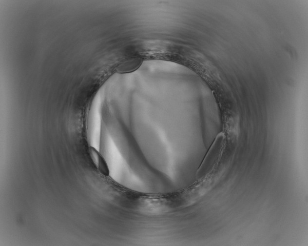 X0000110320372200906111457