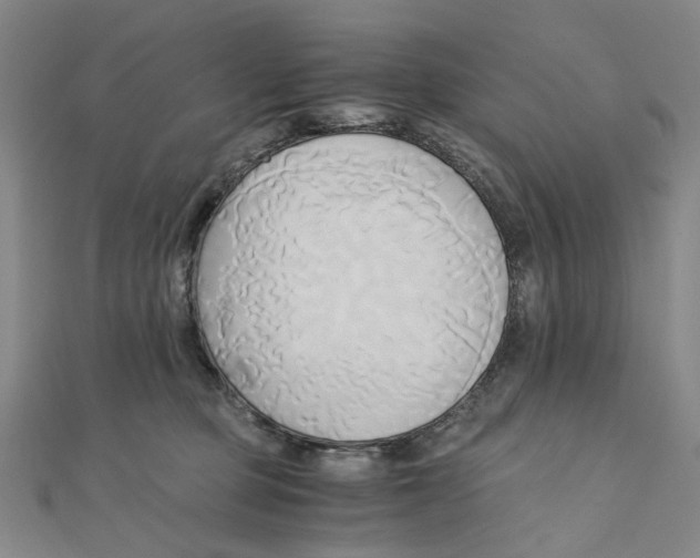 X0000110320373200906111457