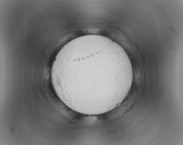 X0000110320374200906111457