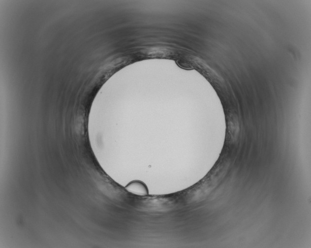 X0000110320379200906111457