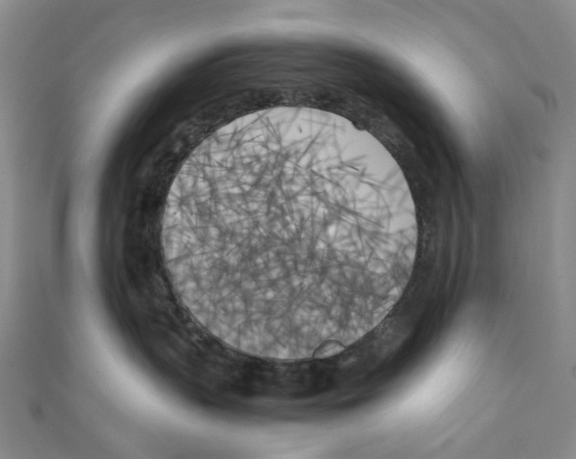 X0000110320383200906111458