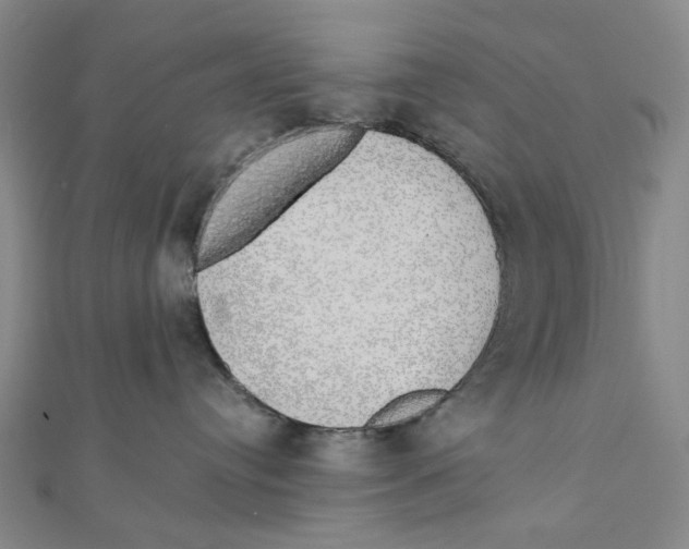 X0000110320384200906111458