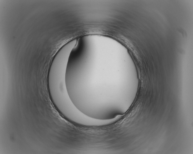 X0000110320385200906111457