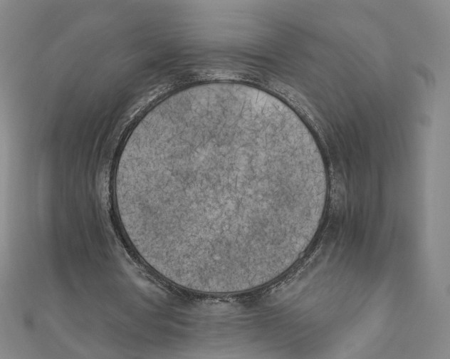 X0000110320386200906111457