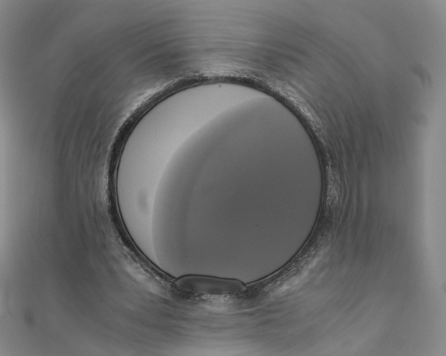 X0000110320391200906111457