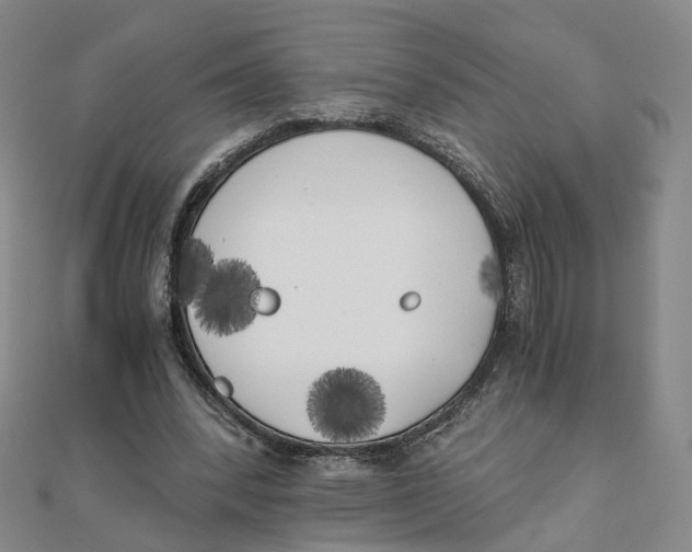 X0000110320392200906111457