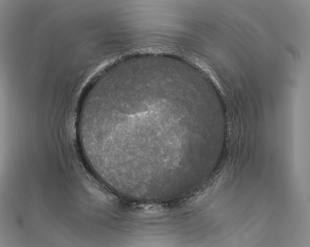 X0000110320395200906111457