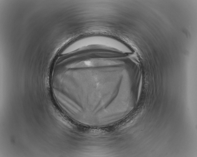 X0000110320399200906111457