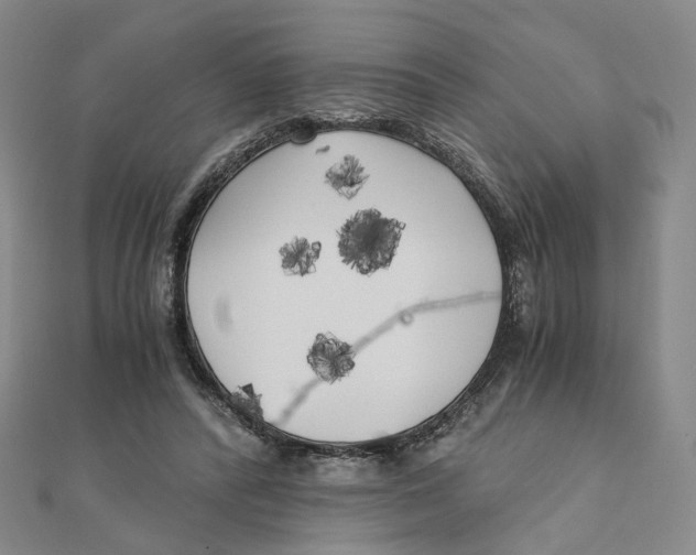 X0000110320400200906111457