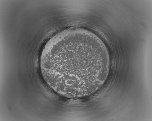 X0000110320403200906111457