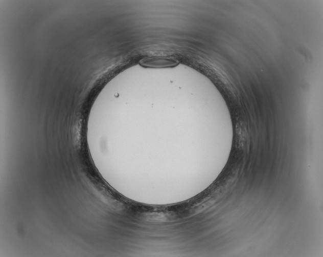 X0000110320404200906111457