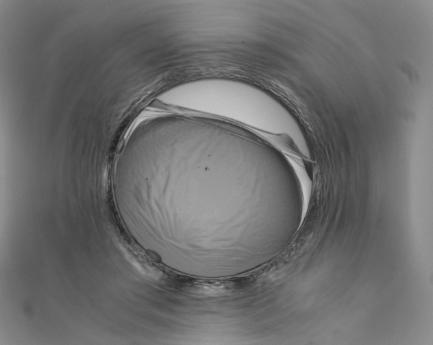 X0000110320405200906111457