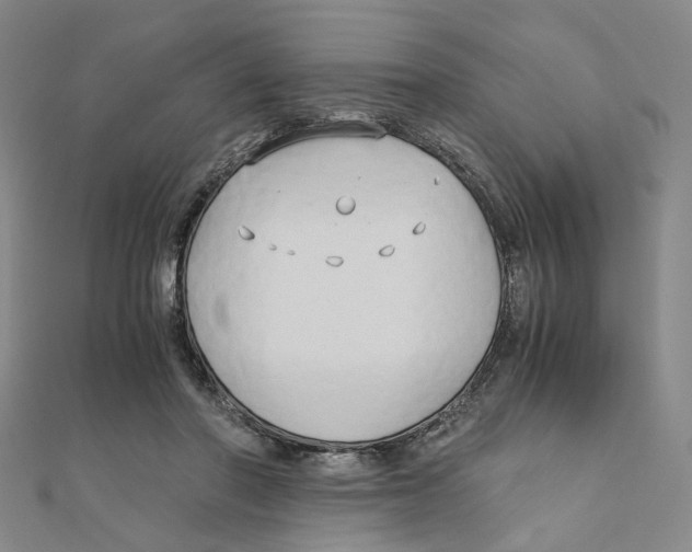 X0000110320406200906111457