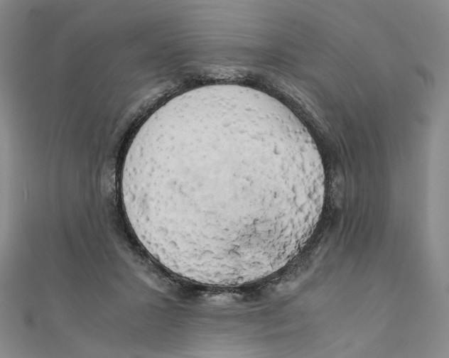 X0000110320407200906111457