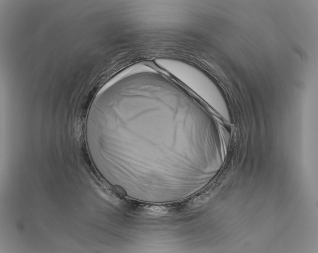 X0000110320409200906111457