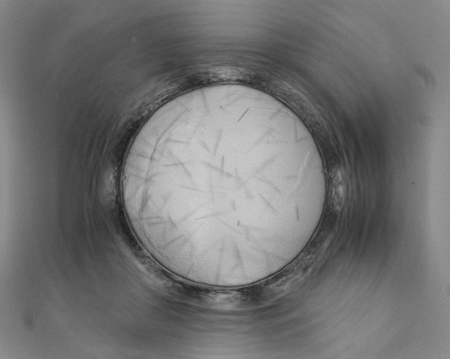 X0000110320410200906111457