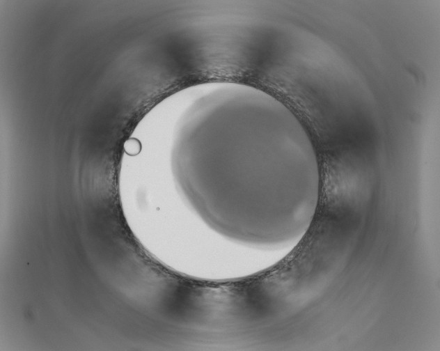 X0000110320411200906111457