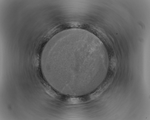 X0000110320413200906111457