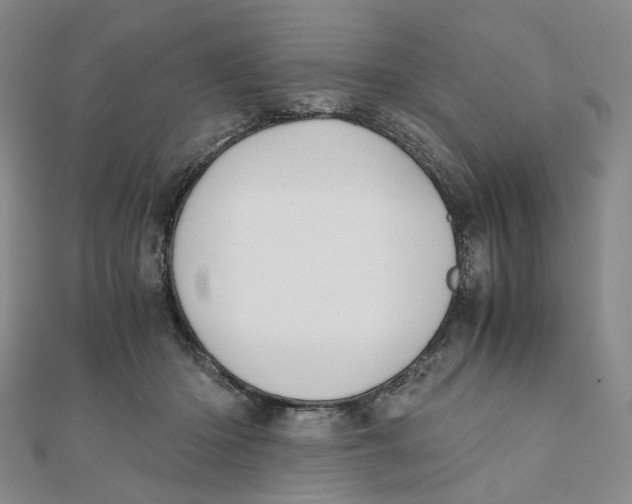 X0000110320414200906111457