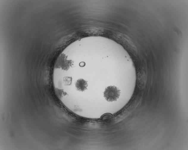 X0000110320416200906111457