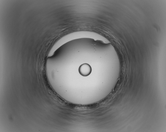 X0000110320417200906111456