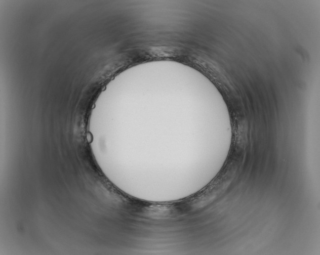 X0000110320418200906111456