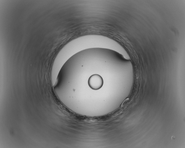 X0000110320419200906111456