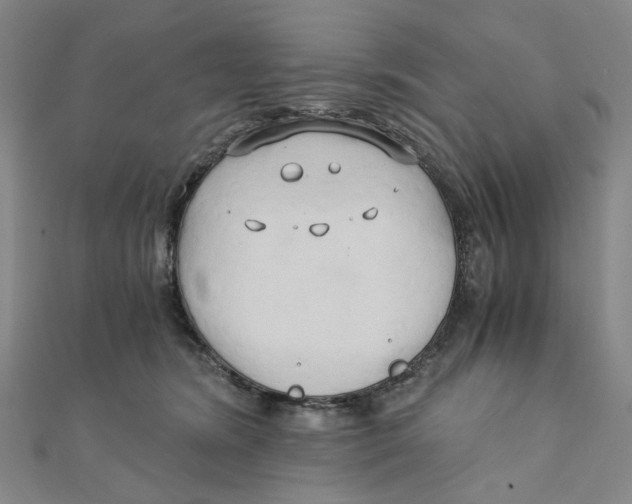 X0000110320420200906111456