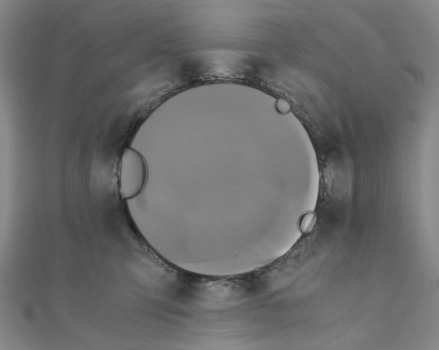 X0000110320423200906111456