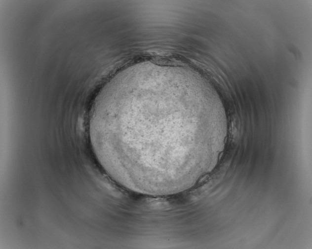 X0000110320424200906111456