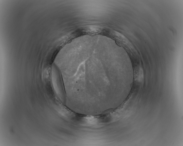 X0000110320425200906111456