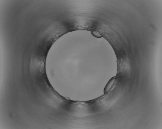 X0000110320427200906111456