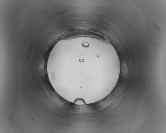 X0000110320428200906111456