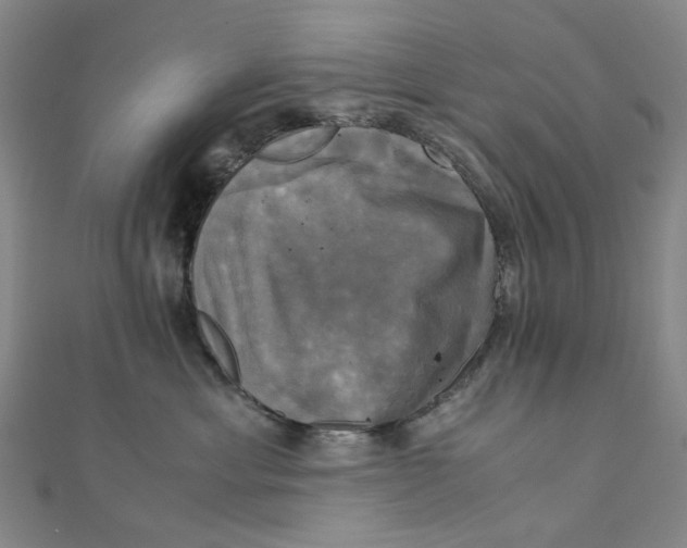 X0000110320429200906111456