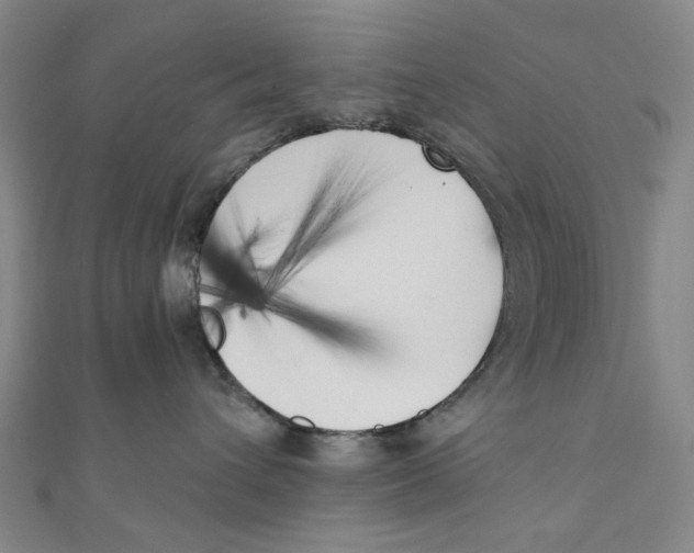 X0000110320432200906111456