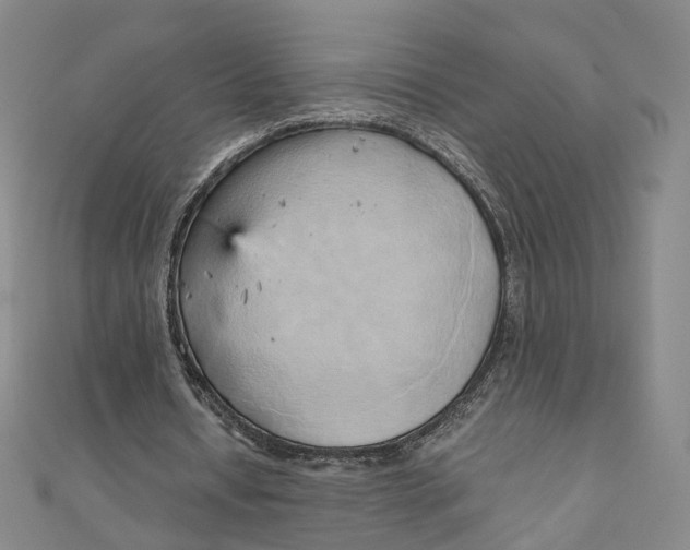 X0000110320434200906111456