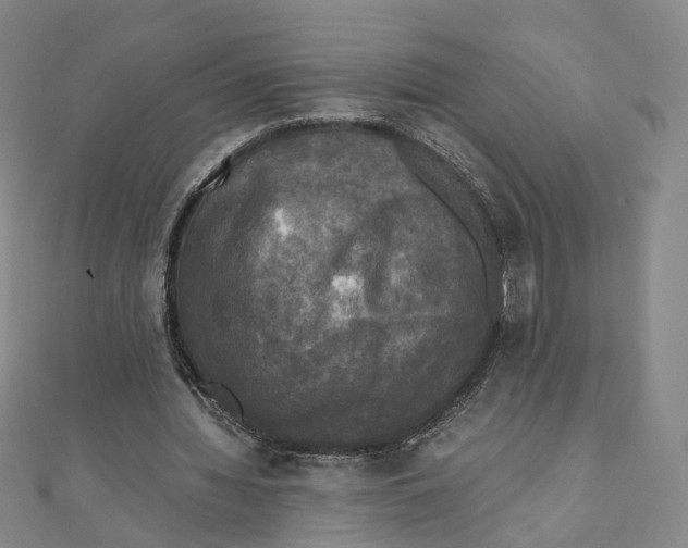 X0000110320436200906111456