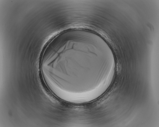 X0000110320438200906111456