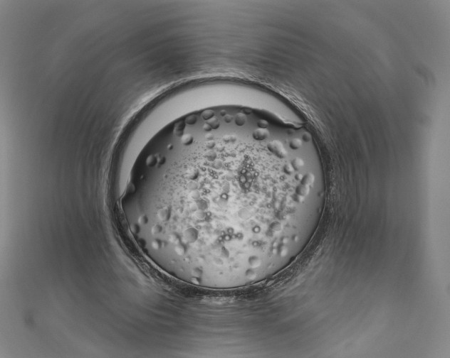 X0000110320440200906111456